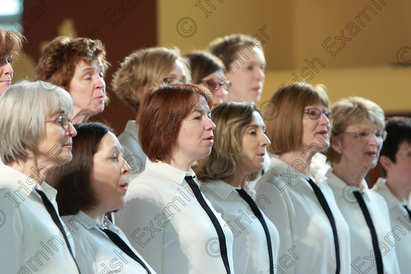 Feis0302109Sun34 
 34~38
Douglas Harmonia singing “Song Bird” and “The Blessing” Conducted by Lorna Moore.

Class: 79: “The Holy Trinity Perpetual Cup” Chamber Choirs Two Contrasting Songs.

Feis Maitiú 93rd Festival held in Fr. Matthew Hall. EEjob 03/02/2019. Picture: Gerard Bonus.