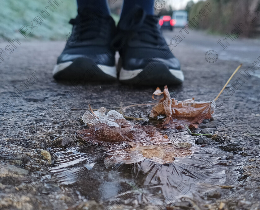 LornaSingleton FrozenMoments 
 Frozen Moments - admiring the beauty of a frozen puddle on the way to school, North Dublin. Picture: Lorna Singleton