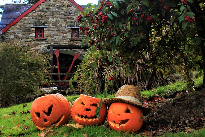 MG 9248 (2) 
 Ready for Halloween at Tuck Mill