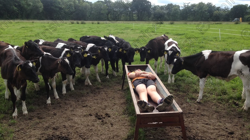 image 
 12 year old Diarmuid Moynihan enjoying the sun with a few friends that are wondering what is going on.