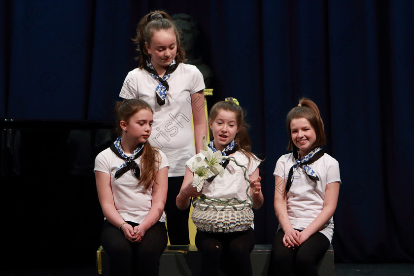 Feis01032020Sun31 
 21~33
Pam Golden Drama singing their own choice songs from Sound of Music.

Class:102: “The Juvenile Perpetual Cup” Group Action Songs 13 Years and Under

Feis20: Feis Maitiú festival held in Father Mathew Hall: EEjob: 01/03/2020: Picture: Ger Bonus