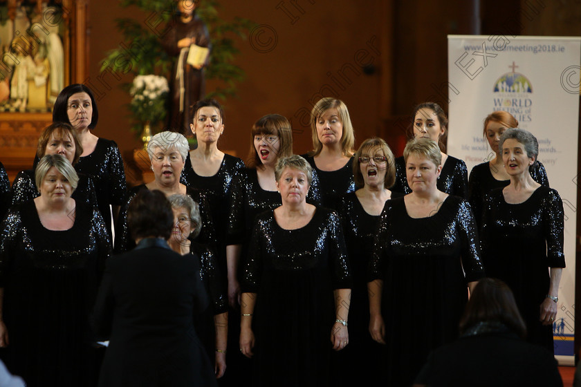 Feis04022018Sun72 
 71~76
The Voices conducted by Mary Pedder Daly 
 Holy Trinity Capuchin Church Adult Choirs Class: 78: “The Lynch Memorial Perpetual Cup” Adult Vocal Choirs Two Contrasting Songs Feis Maitiú 92nd Festival held in Fr. Matthew Hall. EEjob 02/02/2018 Picture: Gerard Bonus.