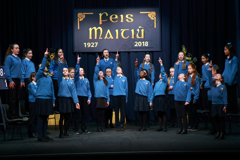 Feis21022018Wed28(1) 
 26~31
Mary’s Cobh 6th Class performing Transylvania Dreaming.
 Speech and Drama Classes: 485: Action Verse “The O’Brien Perpetual Cup”5th Class and Class: 484: “The Sri Lanka Festival Perpetual Trophy” 6th Class, Feis Maitiú 92nd Festival held in Fr. Mathew Hall. EEjob 21/02/2018 Picture: Gerard Bonus.