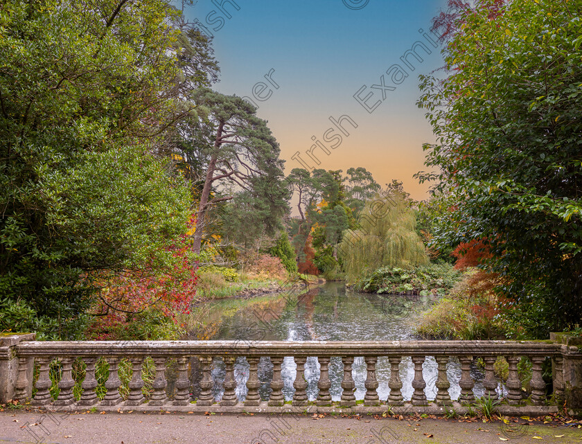 Lake at Fota Gardens 
 Fota in all its Autumn Glory