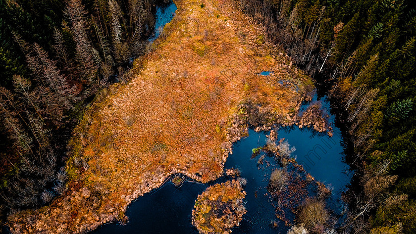 Solitary 
 Overhead photograph of Cratloe Woods lake showing the stillness of the location in Co. Clare