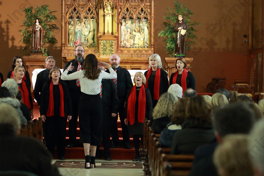 Feis0302109Sun58 
 58~59
AnCór singing “Fly Me To The Moon” and “Only You” Conducted by Lorna Moore.

Class: 78: “The Lynch Memorial Perpetual Cup” Adult Vocal Choirs Two Contrasting Songs.

Feis Maitiú 93rd Festival held in Fr. Matthew Hall. EEjob 03/02/2019. Picture: Gerard Bonus.