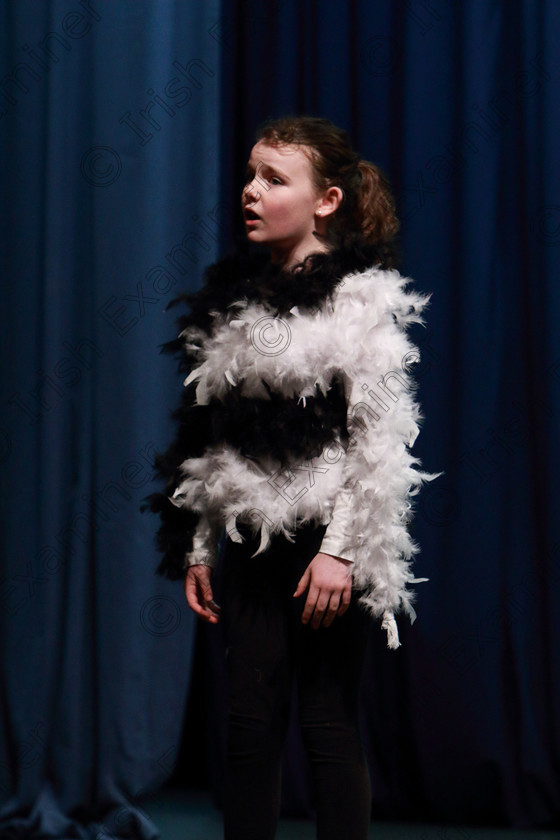 Feis07022020Fri52 
 52
Róisín O’Shea from Rosscarbery giving a Silver Medal performance of Honk.

Class:114: “The Henry O’Callaghan Memorial Perpetual Cup” Solo Action Song 10 Years and Under

Feis20: Feis Maitiú festival held in Father Mathew Hall: EEjob: 07/02/2020: Picture: Ger Bonus.