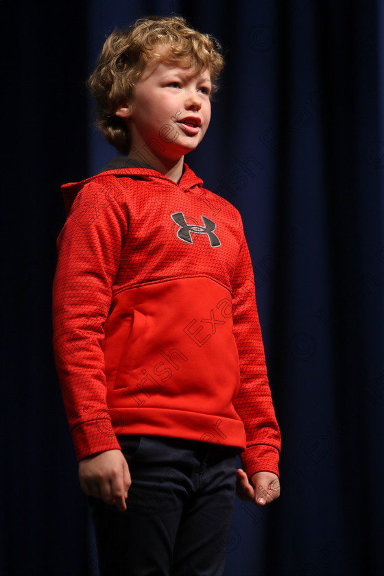 Feis11032018Sun31 
 31
Oscar McMahon from Wilton reciting his poem