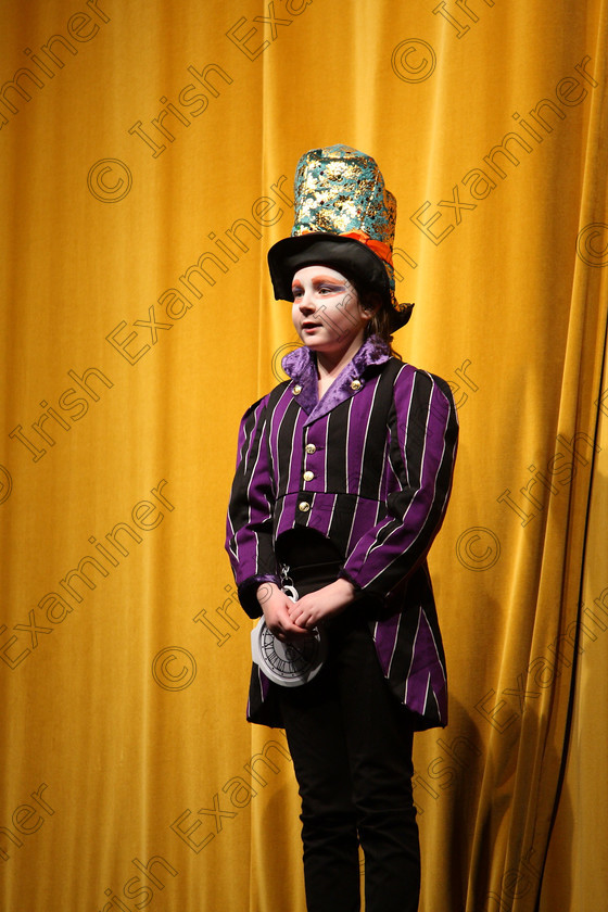 Feis14032018Wed11 
 11~12
Sarah O’Donovan performing “Mad Hatter” from Alice’s Adventures in Wonderland.
 Speech and Drama Class: 328: “The Fr. Nessan Shaw Memorial Perpetual Cup” Dramatic Solo 10 Years and Under Section1Feis Maitiú 92nd Festival held in Fr. Mathew Hall. EEjob 14/03/2018 Picture: Gerard Bonus.