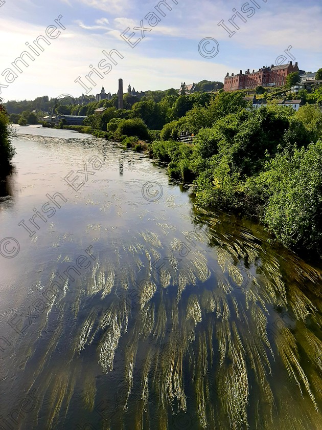 20200528 192936 
 River algae