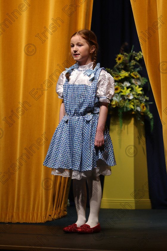 Feis20032018Tue27 
 27~28
Laura Cummins performing “Caught in the Cyclone” from The Wizard of Oz.
 Speech and Drama Class: 329: Dramatic Solo 8 Years and Under Feis Maitiú 92nd Festival held in Fr. Mathew Hall. EEjob 20/03/2018 Picture: Gerard Bonus