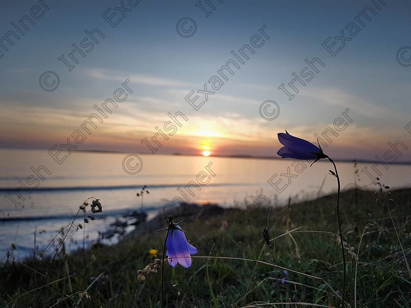 20045640 10155489848268134 8587370300543236785 o 
 Rosses Point sunset Sligo