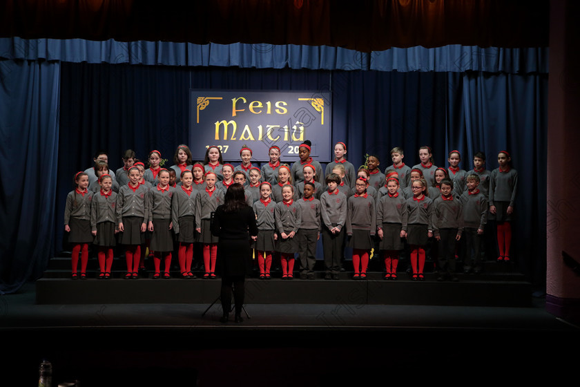 Feis12042018Thu12 
 12~16
St. Luke’s Primary School singing “Someday” and “Railway Carriage”.
 Singing Class: 84: “The Sr. M. Benedicta Memorial Perpetual Cup” Primary School Unison Choirs Section 1 Feis Maitiú 92nd Festival held in Fr. Mathew Hall. EEjob 28/03/2018 Picture: Gerard Bonus