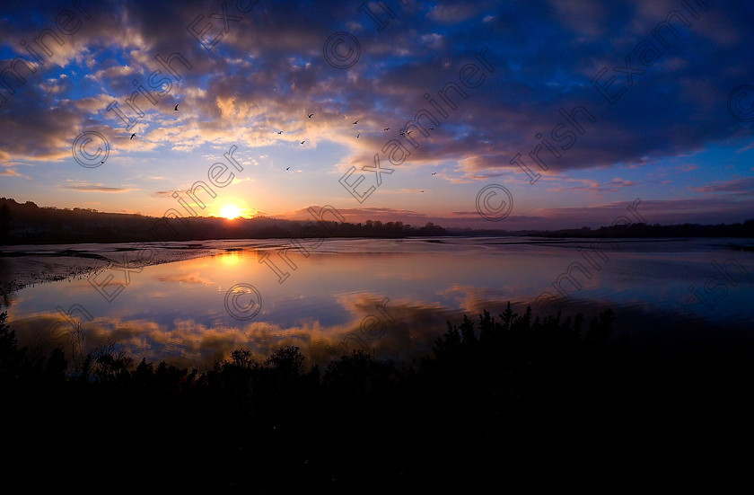 Douglas River 
 A sunday evening sunset at the Douglas River Cork