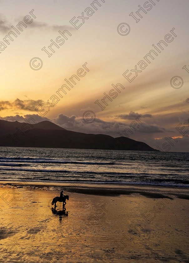 20201211 090446-01 
 A Winter's Gallop 
Picture taken this December at the beautiful Maharees County Kerry. 
Picture by
Sharon Mowat Driscoll