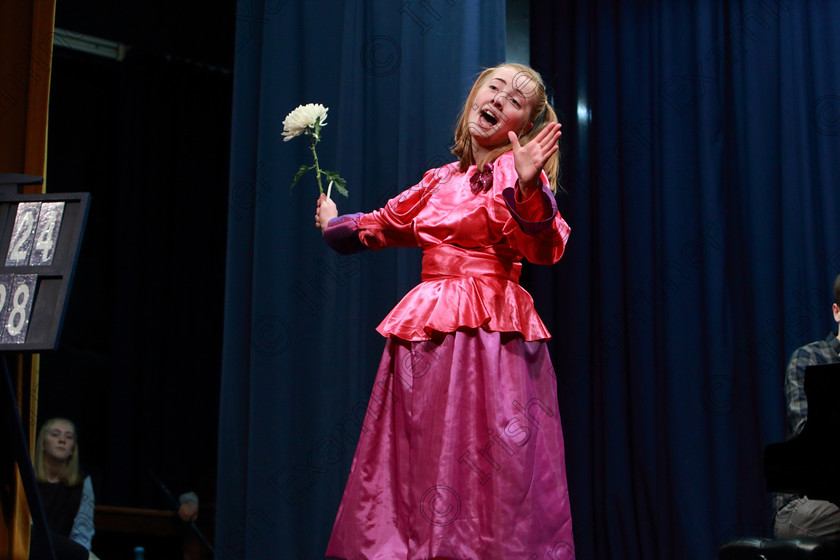 Feis09022020Sun82 
 82
Ciara Hodnett from Rathbarry singing Why Her from Cinderella

Class:24: “The David O’Brien and Frances Reilly Perpetual Trophy” Musical Theatre 16 Years and Under

Feis20: Feis Maitiú festival held in Father Mathew Hall: EEjob: 09/02/2020: Picture: Ger Bonus.