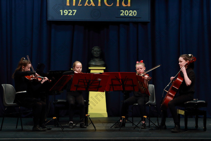 Feis0103202061 
 61~62
Sparking Strings playing Showtime as their repertoire.

Class:270: “The Lane Perpetual Cup” Chamber Music 14 Years and Under

Feis20: Feis Maitiú festival held in Father Mathew Hall: EEjob: 01/03/2020: Picture: Ger Bonus.