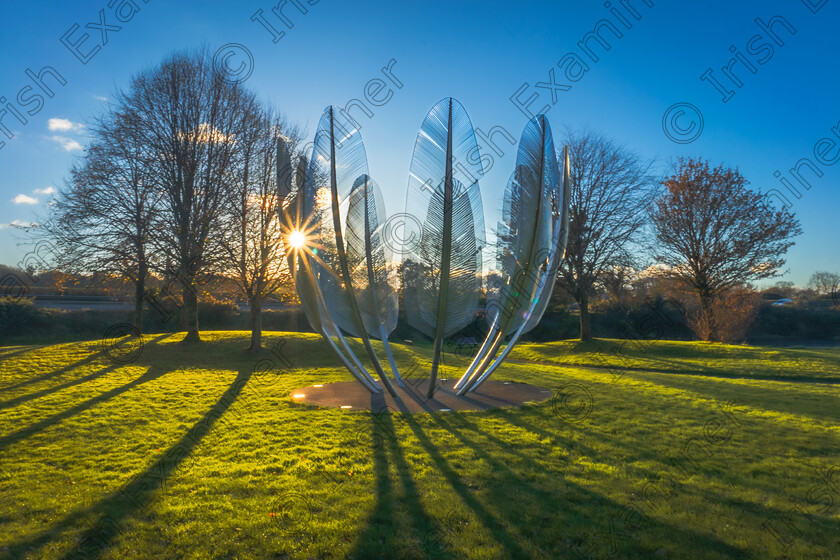 DSC8811-2 
 Kindred Spirits gleaming in the December sun, Midleton, Co.Cork. Picture: Sally O'Reilly