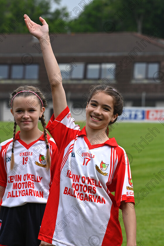 champers11 
 Jane Champers is introduced to the fans during the Allianz Sciath na Scol Chorcaí hurling and camogie county final at Páirc Uí Rinn. Picture Dan Linehan