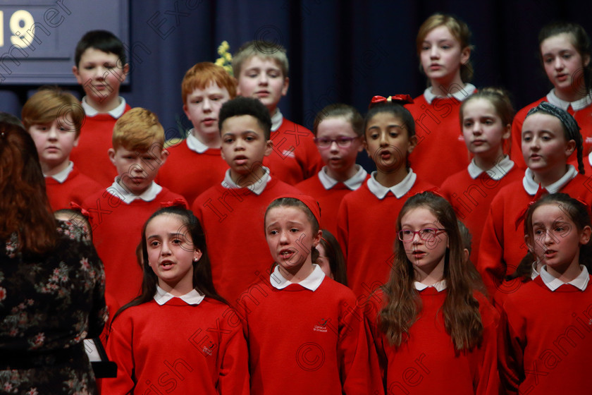 Feis28022019Thu57 
 55~56
Gaelscoil Uí Drisceoil Glanmire performing

Class: 543: “Corn an Athair MacAmhlaoibh” Bun-Scoileanna (D’Aon Ghuth)

Feis Maitiú 93rd Festival held in Fr. Mathew Hall. EEjob 28/02/2019. Picture: Gerard Bonus