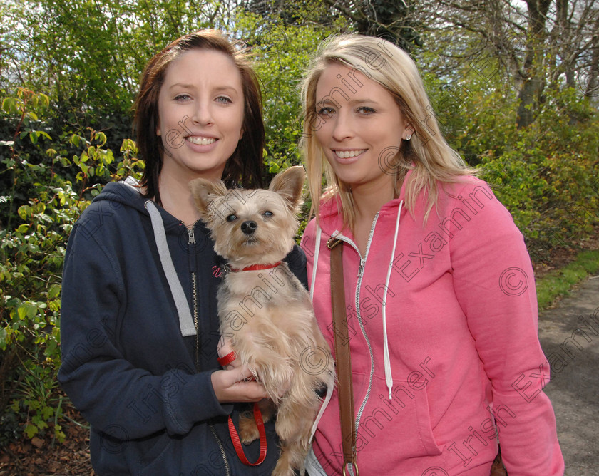 RM Titanic-1101495 
 'Charlie' with Emer and Niamh Cosgrave, Barrack Street, whose uncle made the commemorative stone, at the official unveiling of the Titanic memorial stone monument in Fitzgerald's Park.
Picture: Richard Mills