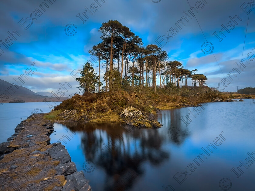 IMG 3238 
 â€œThe Pine Island of Connemaraâ€
Galway, Ireland