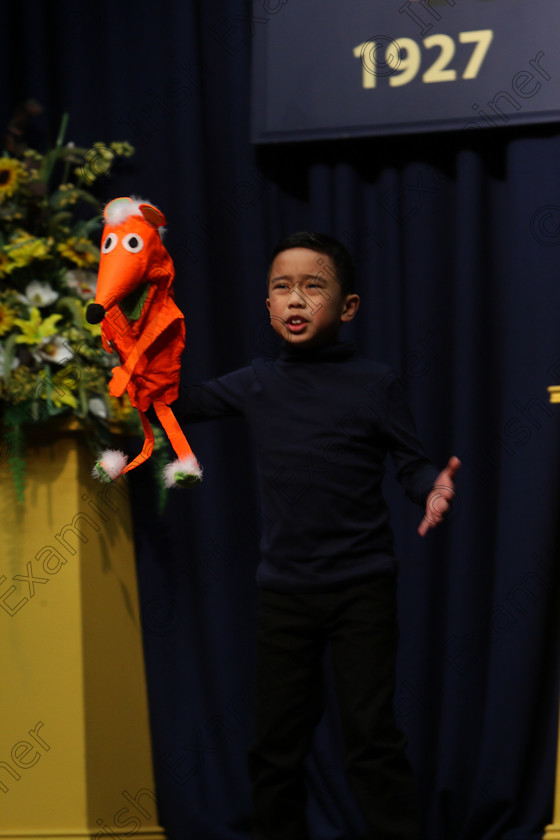 Feis20032018Tue18 
 16~18
Shayne Limansag giving a Commended performance of “Boy” from The Witches.
 Speech and Drama Class: 329: Dramatic Solo 8 Years and Under Feis Maitiú 92nd Festival held in Fr. Mathew Hall. EEjob 20/03/2018 Picture: Gerard Bonus