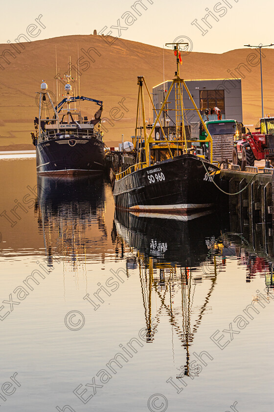 Dingle Harbour-5300 
 Dingle Harbour,overlooked by Esk Tower Burnham in the background on a lovely sunny January day.Takrn Sunday Jan 16th 2022 by: Noel O Neill 
 Keywords: Dingle, Esk, Marina, Tower, Trawler, church, rambles, reflections