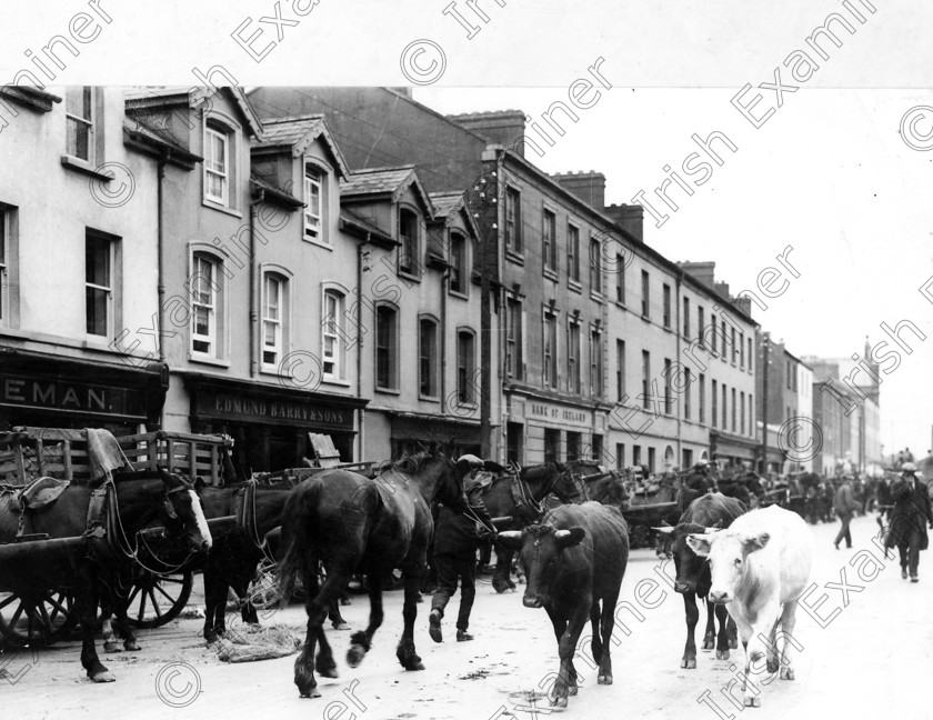 299051 
 MIDLETON FAIR 1931
10/08/31
REF 743A
EXAMINER FILE PICTURE
OLD BLACK AND WHITE