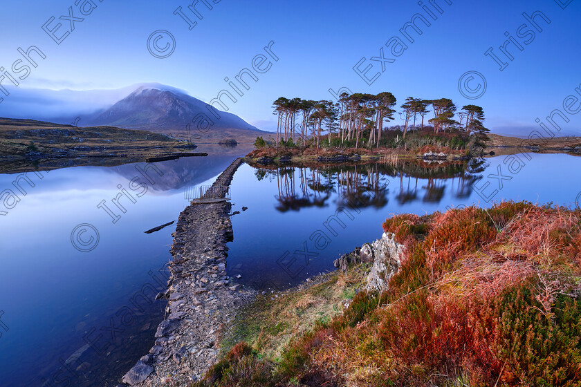 kilanowski-pines-island-2022 
 Derryclare Lough is a tranquil spot at the blue hour time, Connemara.