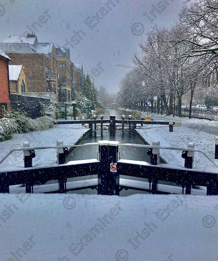 3004C71E-D9AB-4959-981D-87A159675471 
 Snow falling at Grand Canal Dublin 2 on 1 March 2024 taken with iPhone SE2020 by Aislinn Power