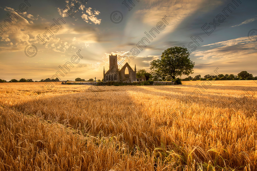 ghdf 
 Very pleasant evening at Ballinafagh Church Co Kildare.
Few clouds and warm sun shining on he corn from behing churches tower make the place looking heavenly.Ballinafagh Church Co Kildare